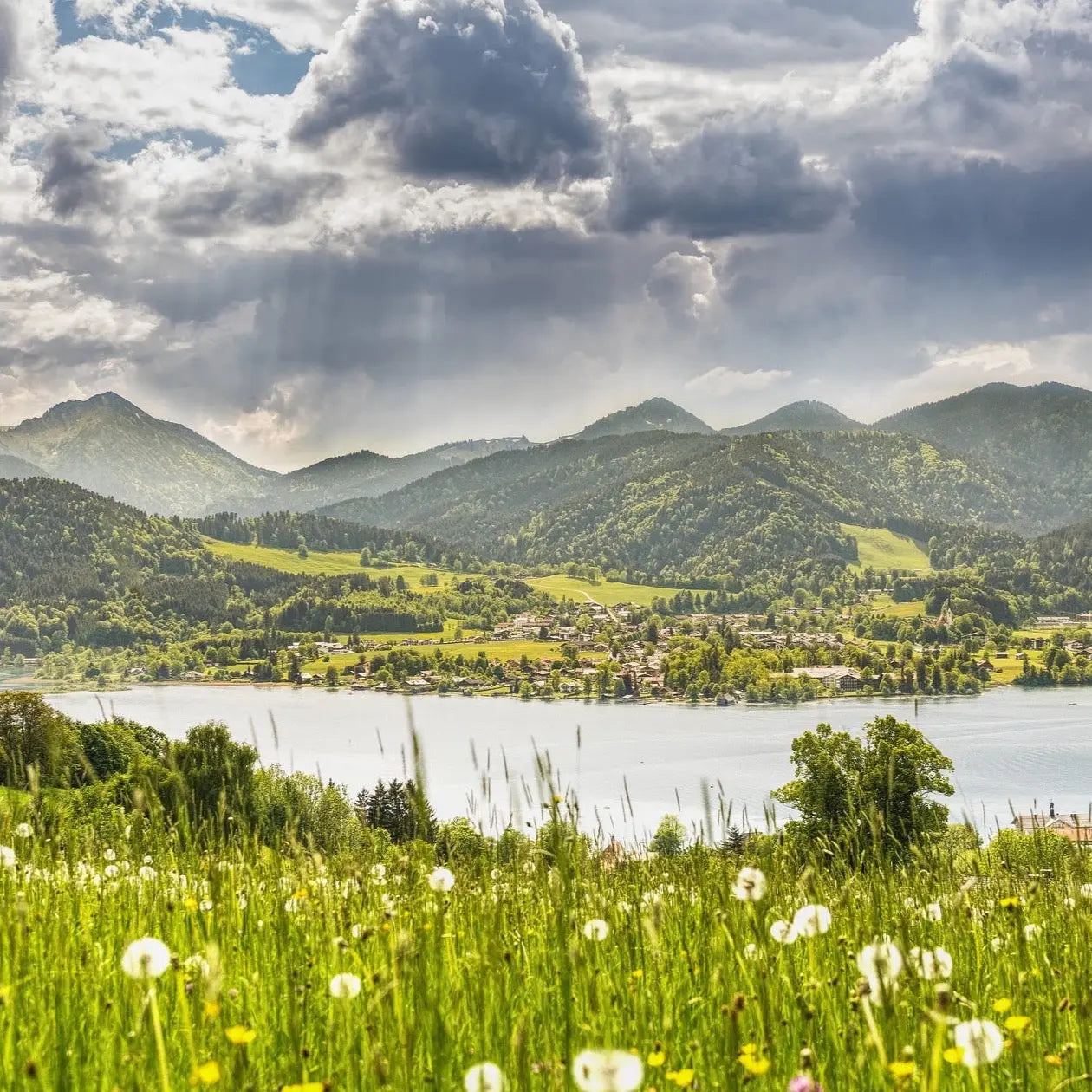 Type Tegernsee Fondants parfumés 50 g - Fabriqué à la main en Bavière