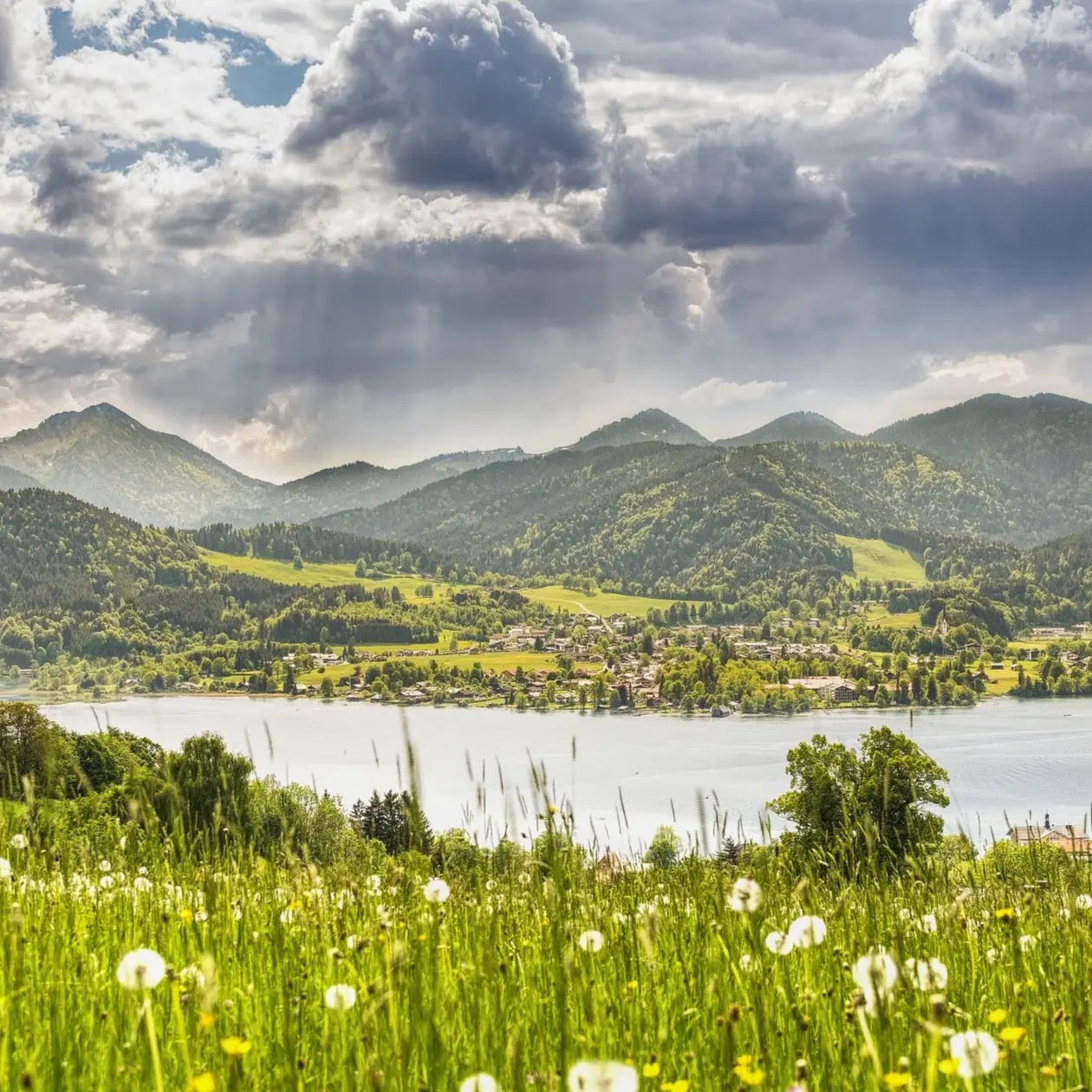 Bougie parfumée Type Tegernsee 200g - Fabriquée à la main en Bavière